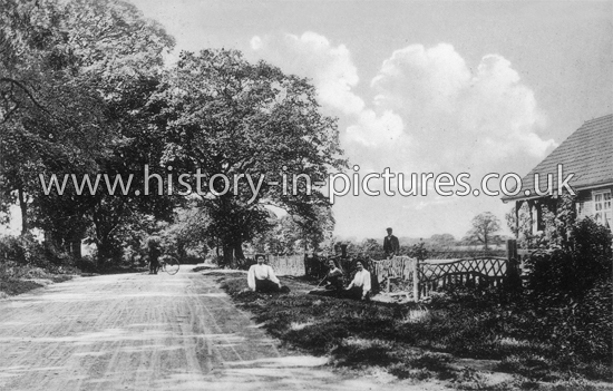 Steeple Road, Southminster, Essex. c.1912